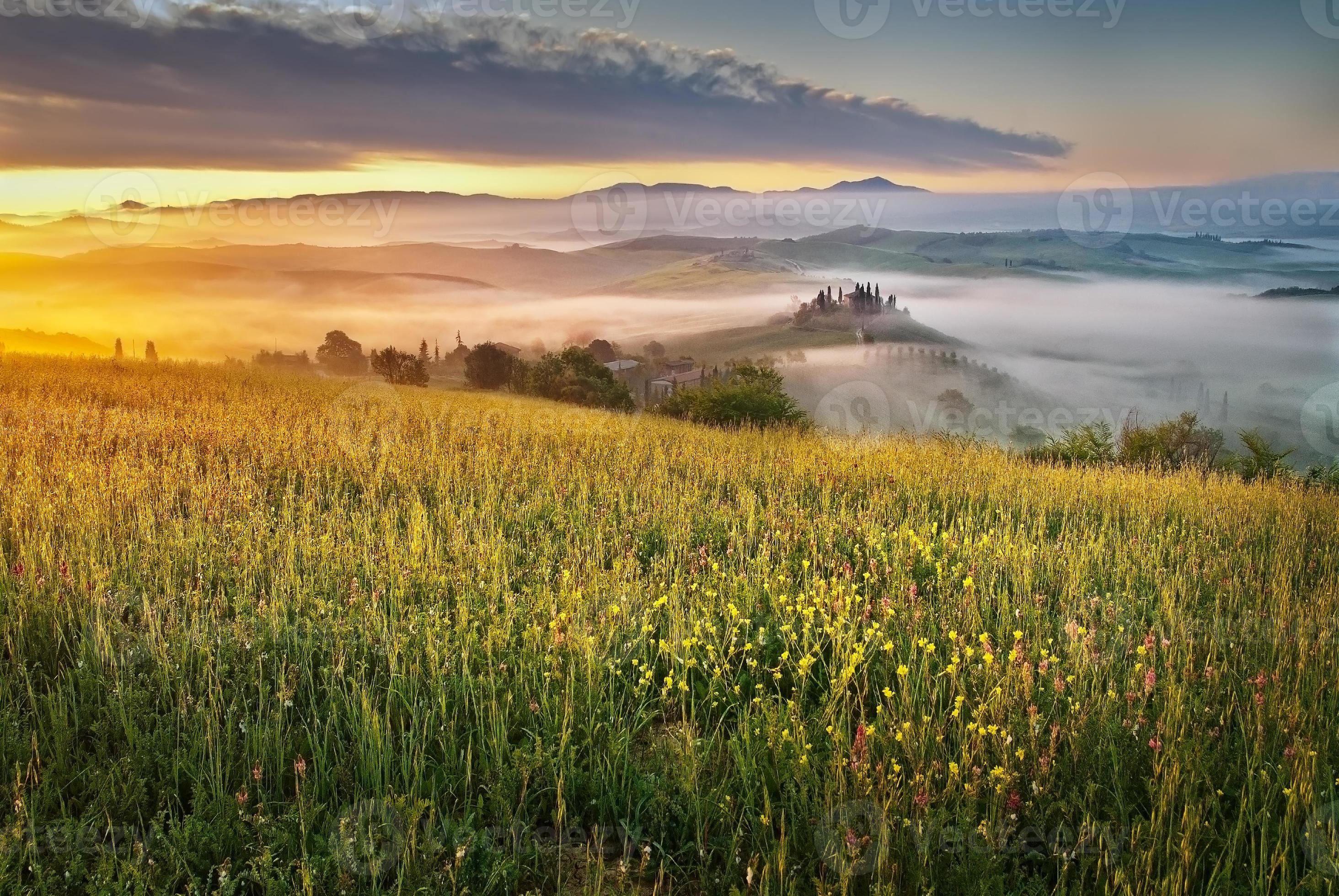Fields and fog in the Tuscan landscape photo