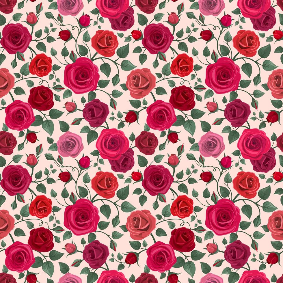 Colorful Detailed Roses Pattern Background vector