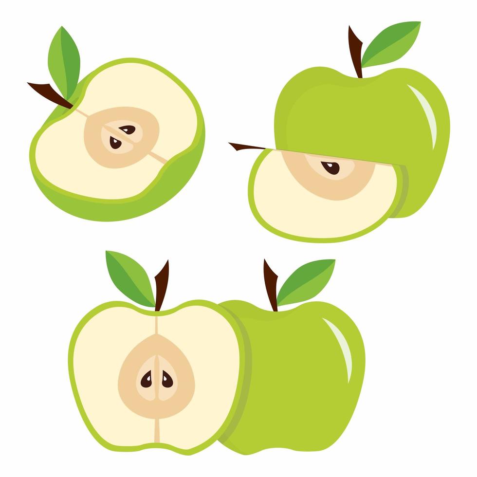 Green apples with leaves vector
