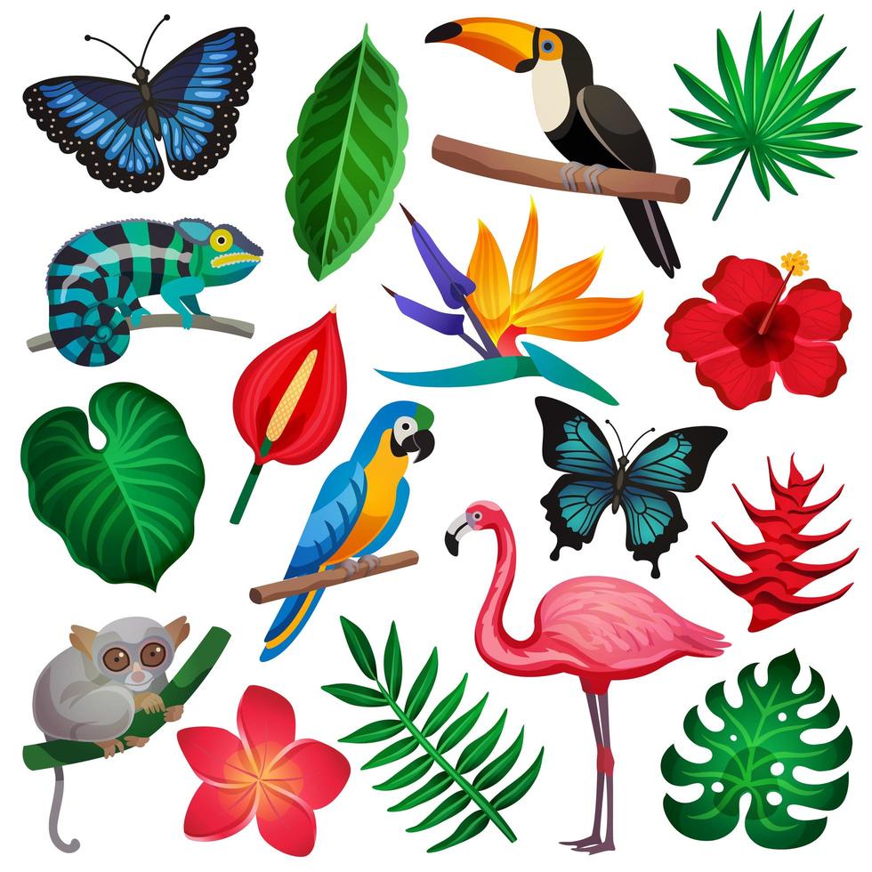 Tropical fauna and flora set vector