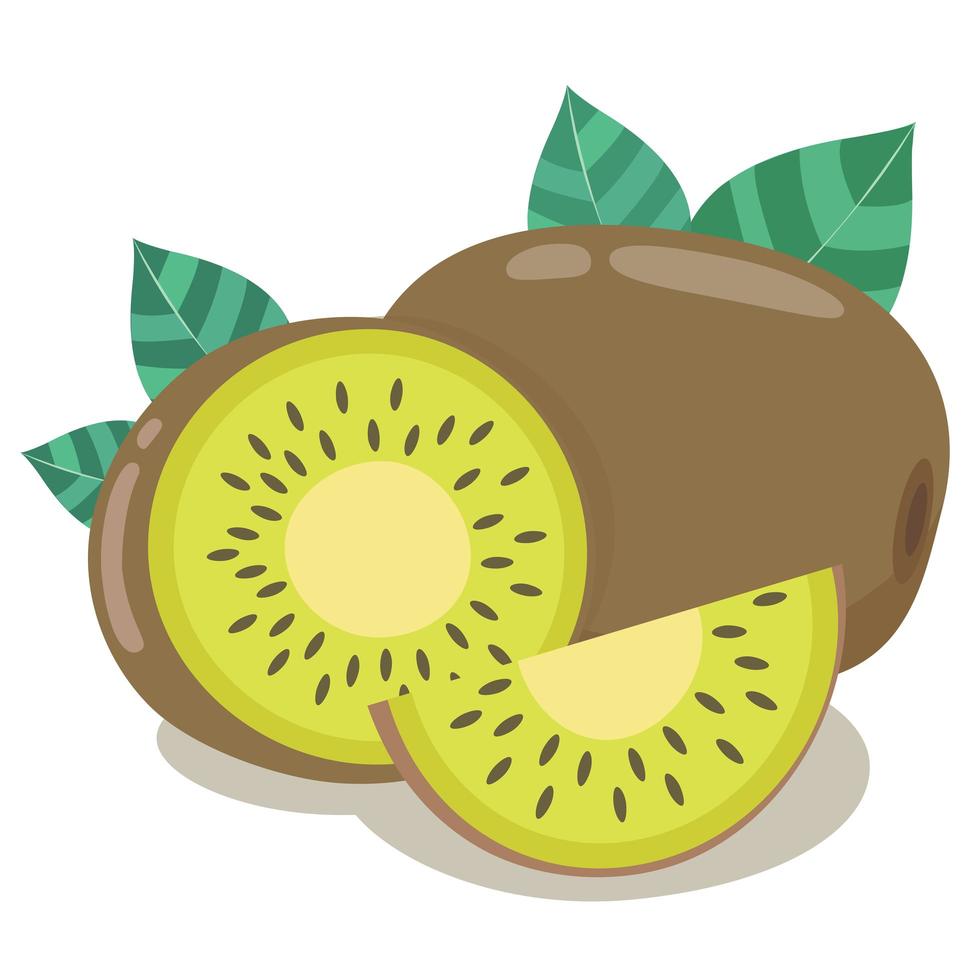 Fresh kiwi halves with green leaves vector