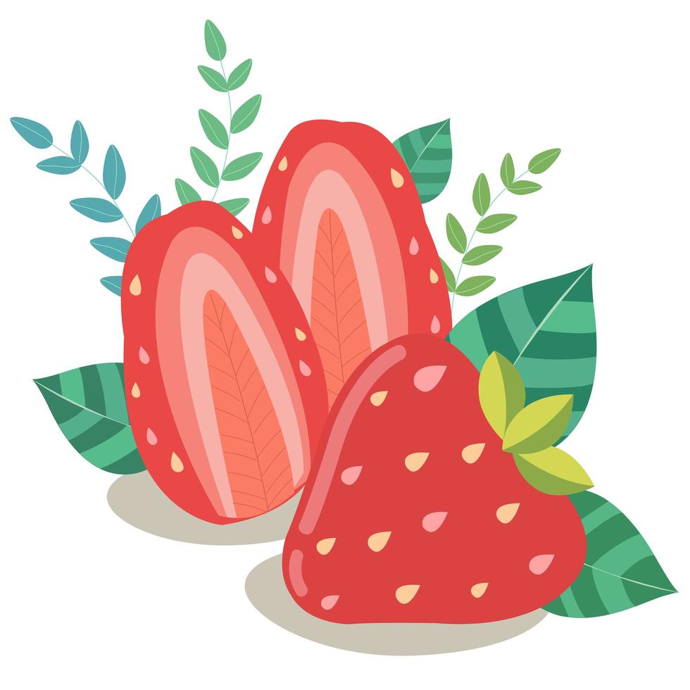 Fresh strawberry halves with green leaves vector