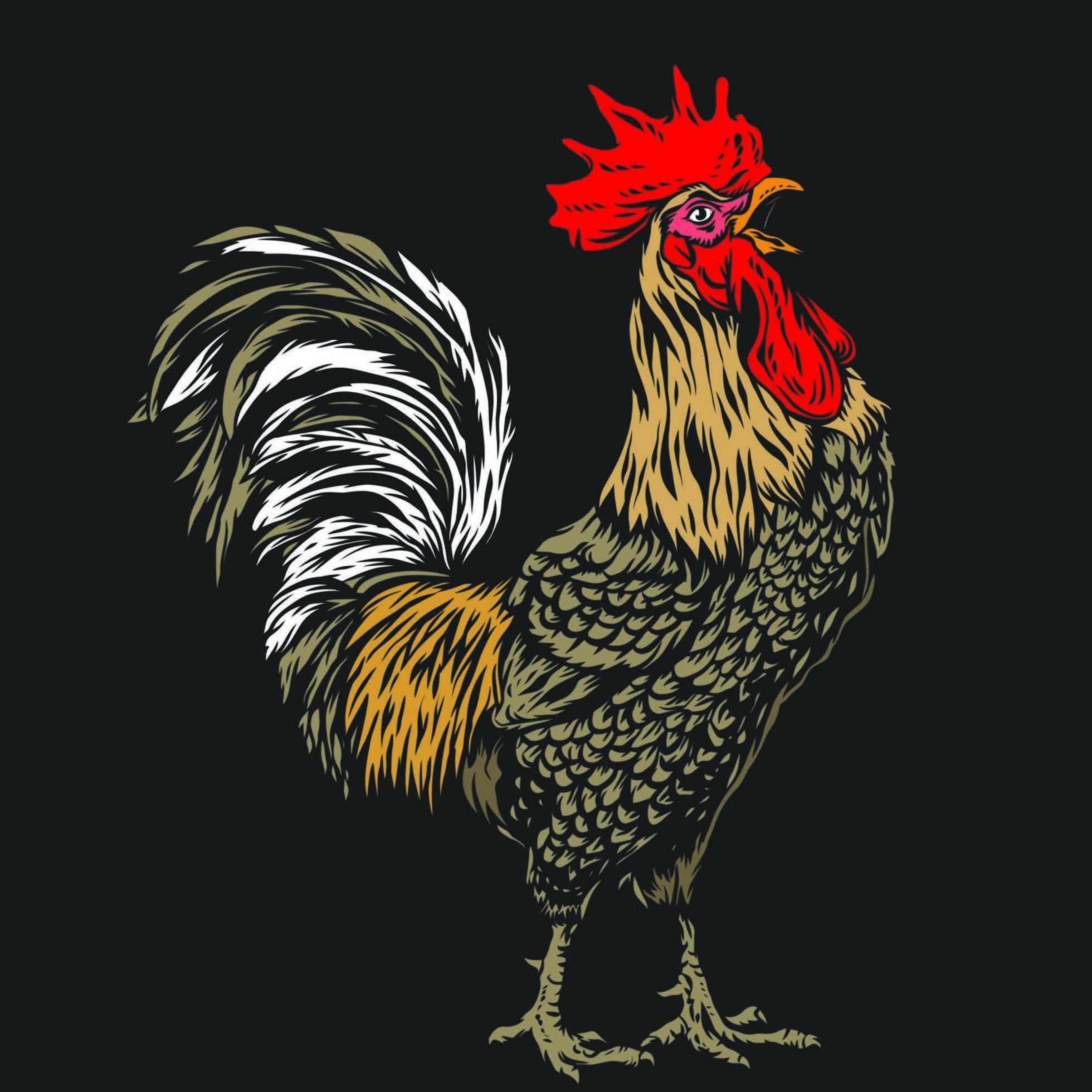 Colored Rooster Line Art 1408290 Vector Art at Vecteezy