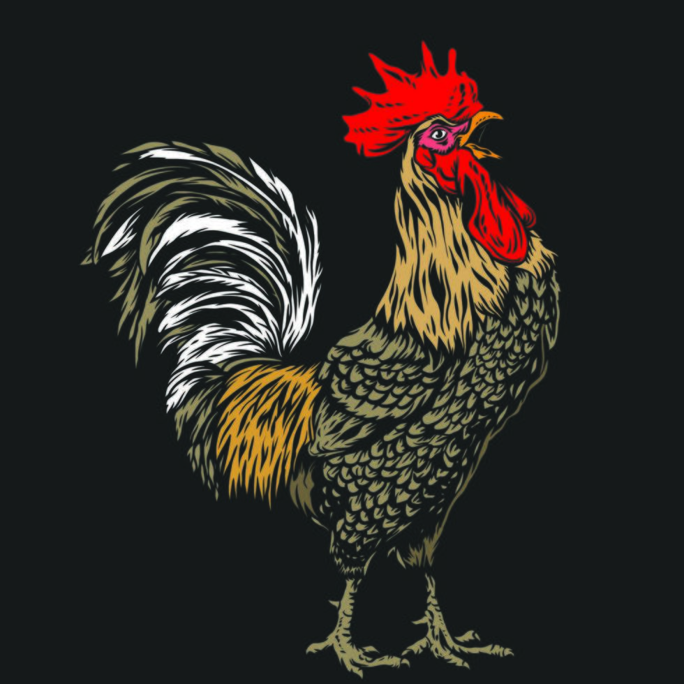 Colored Rooster Line Art vector