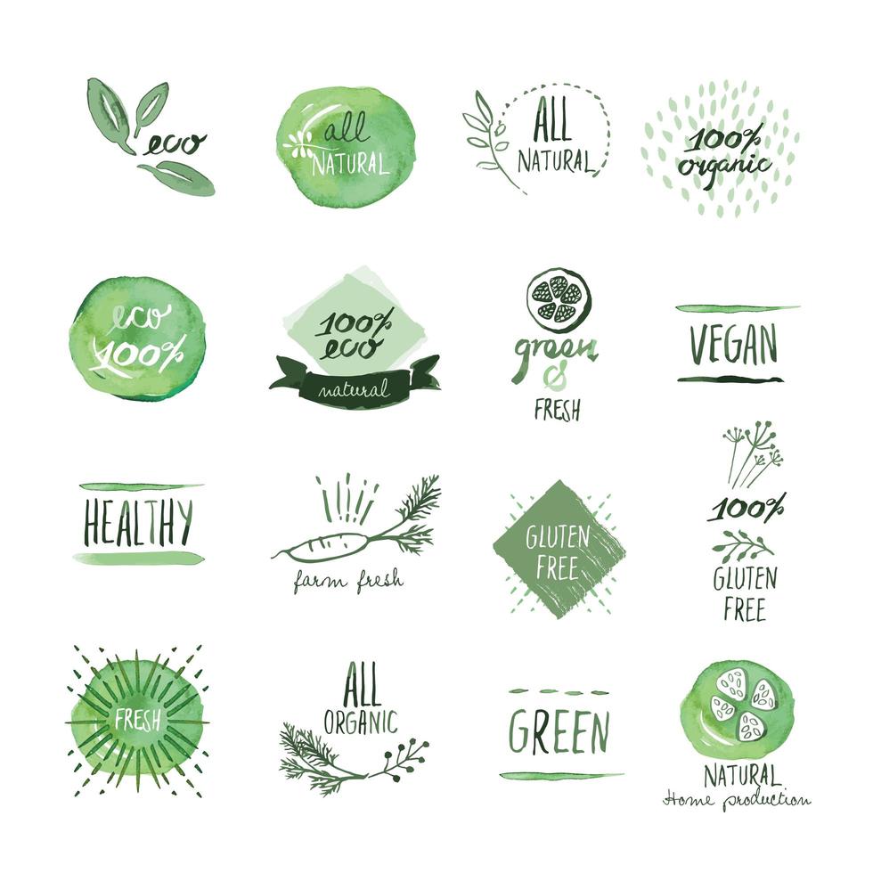 Set of Organic Food Hand Drawn Watercolor Signs vector