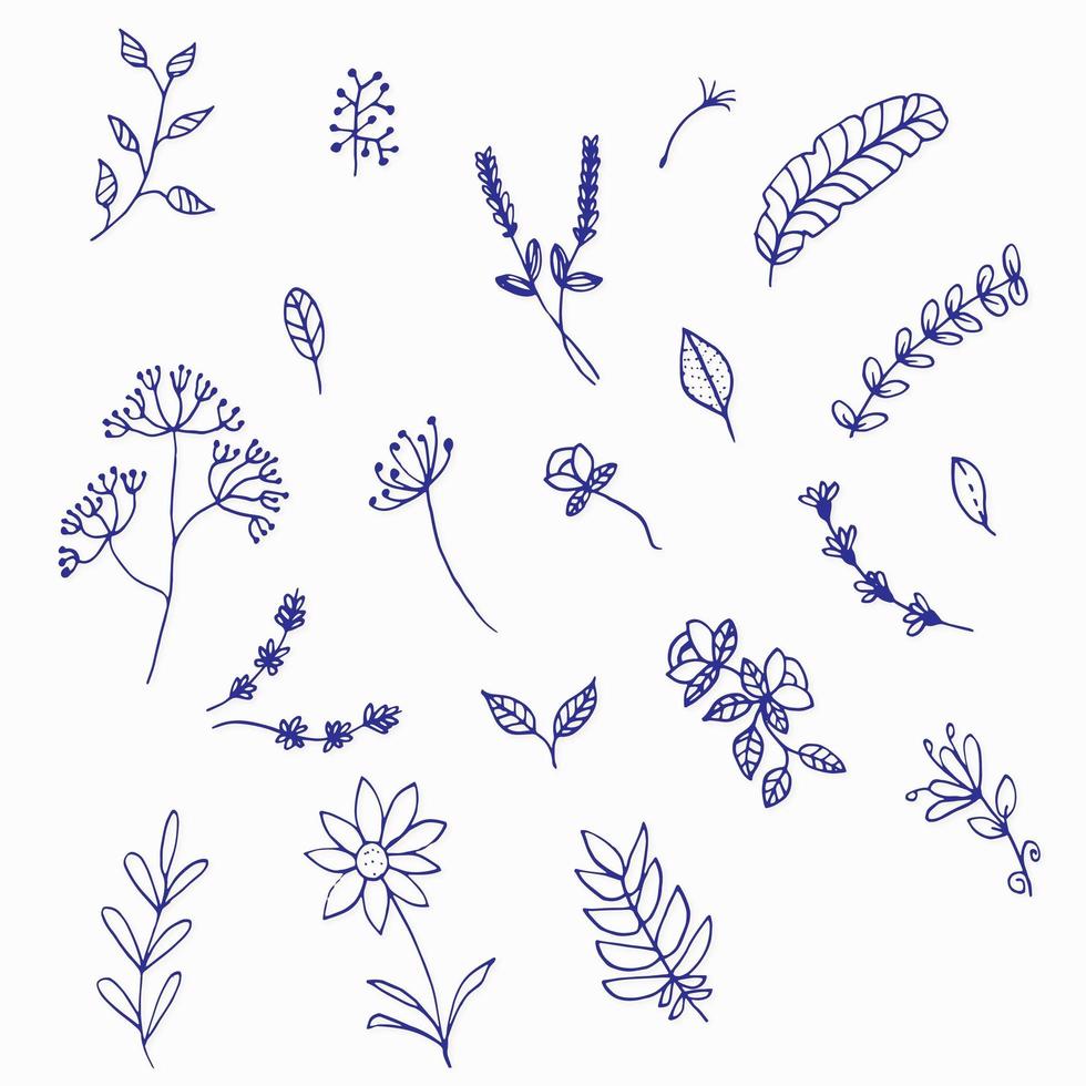 Hand Drawn Floral Elements vector