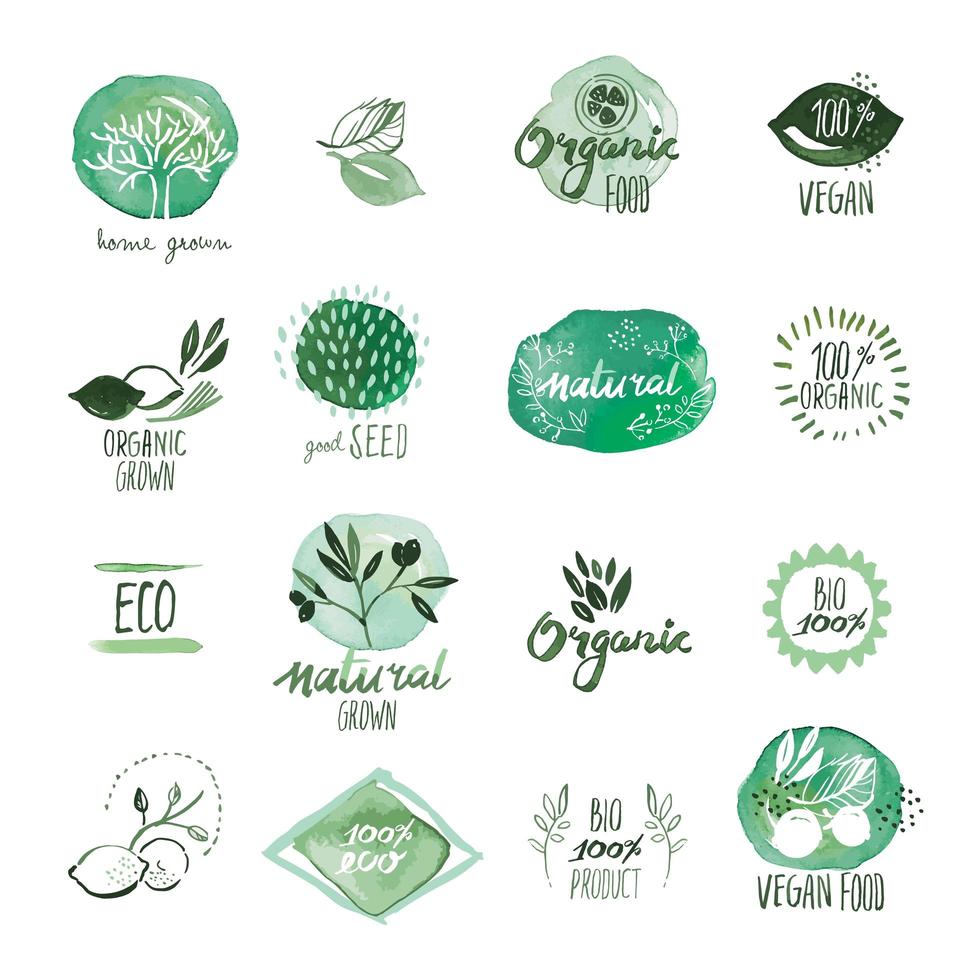 Set of Organic Food Hand Drawn Watercolor Signs vector