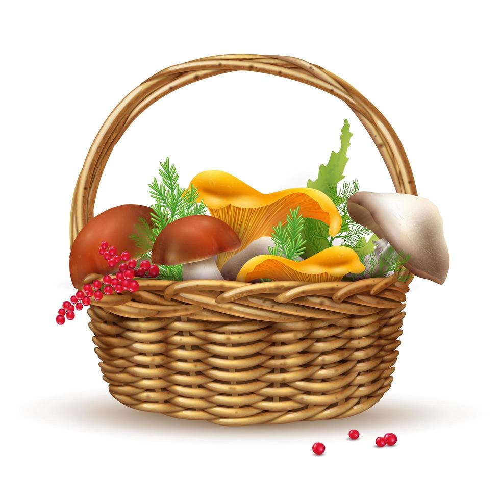 Basket with mushrooms vector