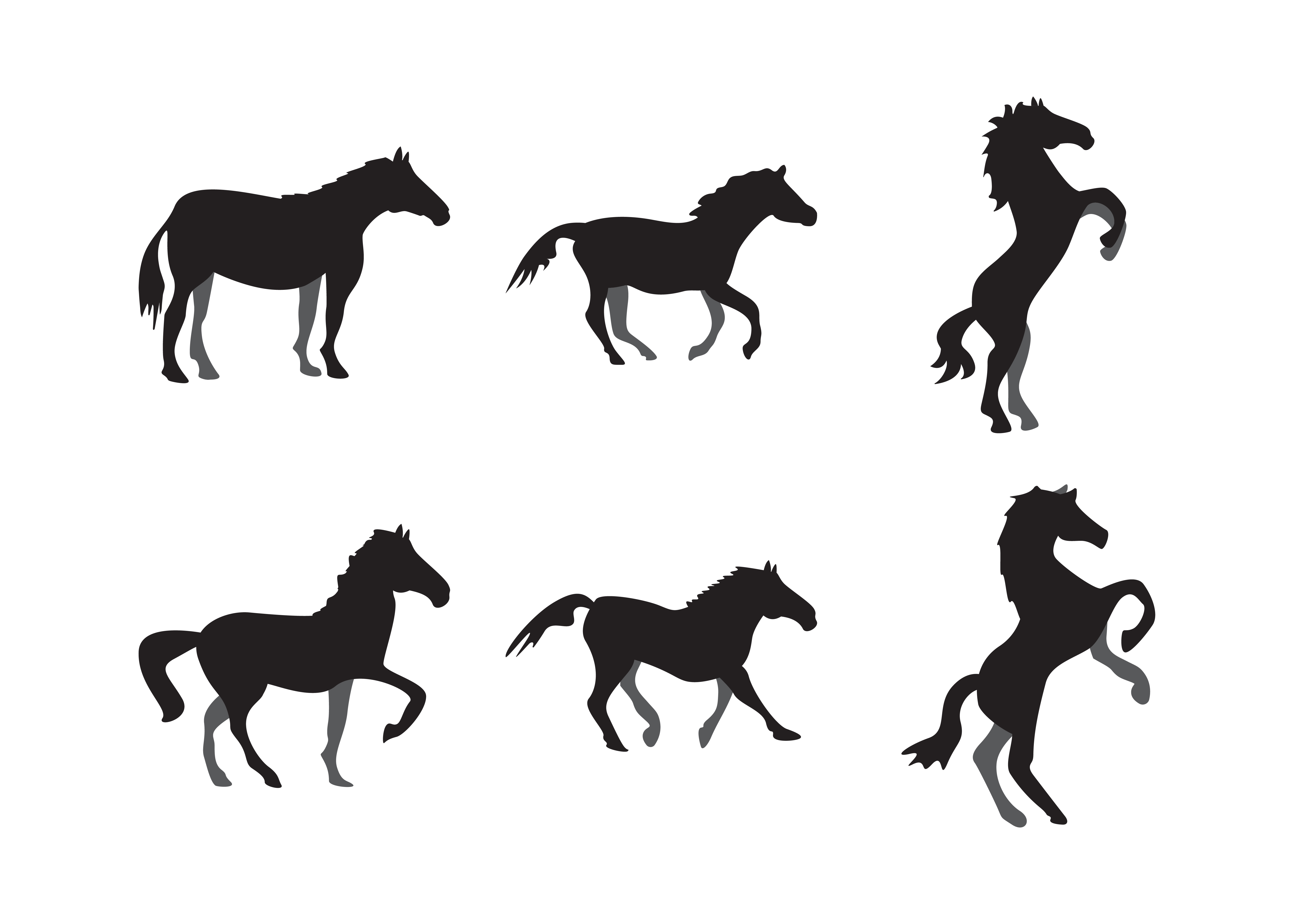 Horse Silhouette Set Download Free Vectors Clipart Graphics Vector Art