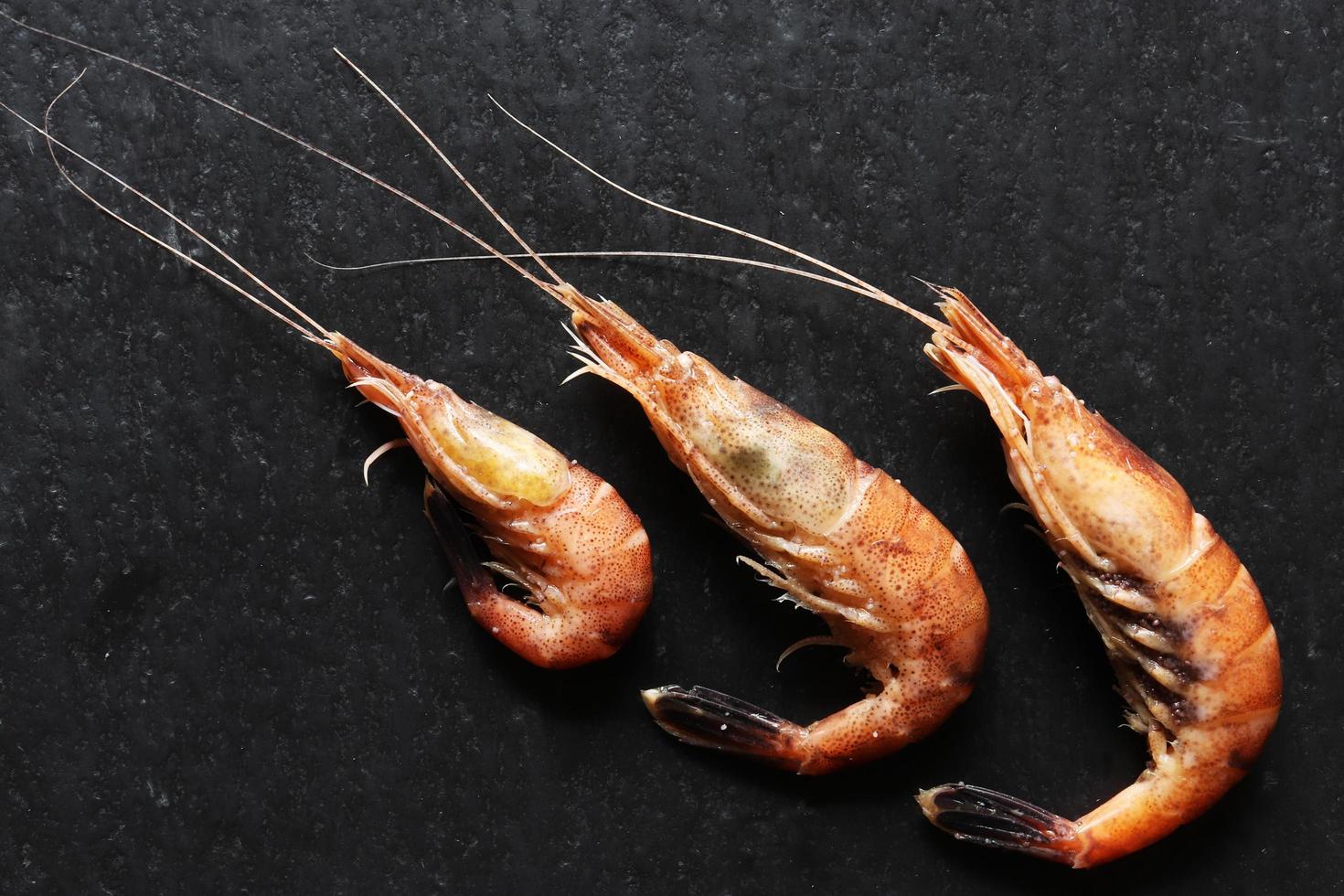 Three cooked shrimp photo