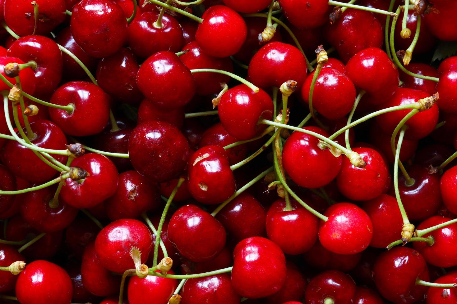 Fotografía de cerezas para fondo de alimentos. foto