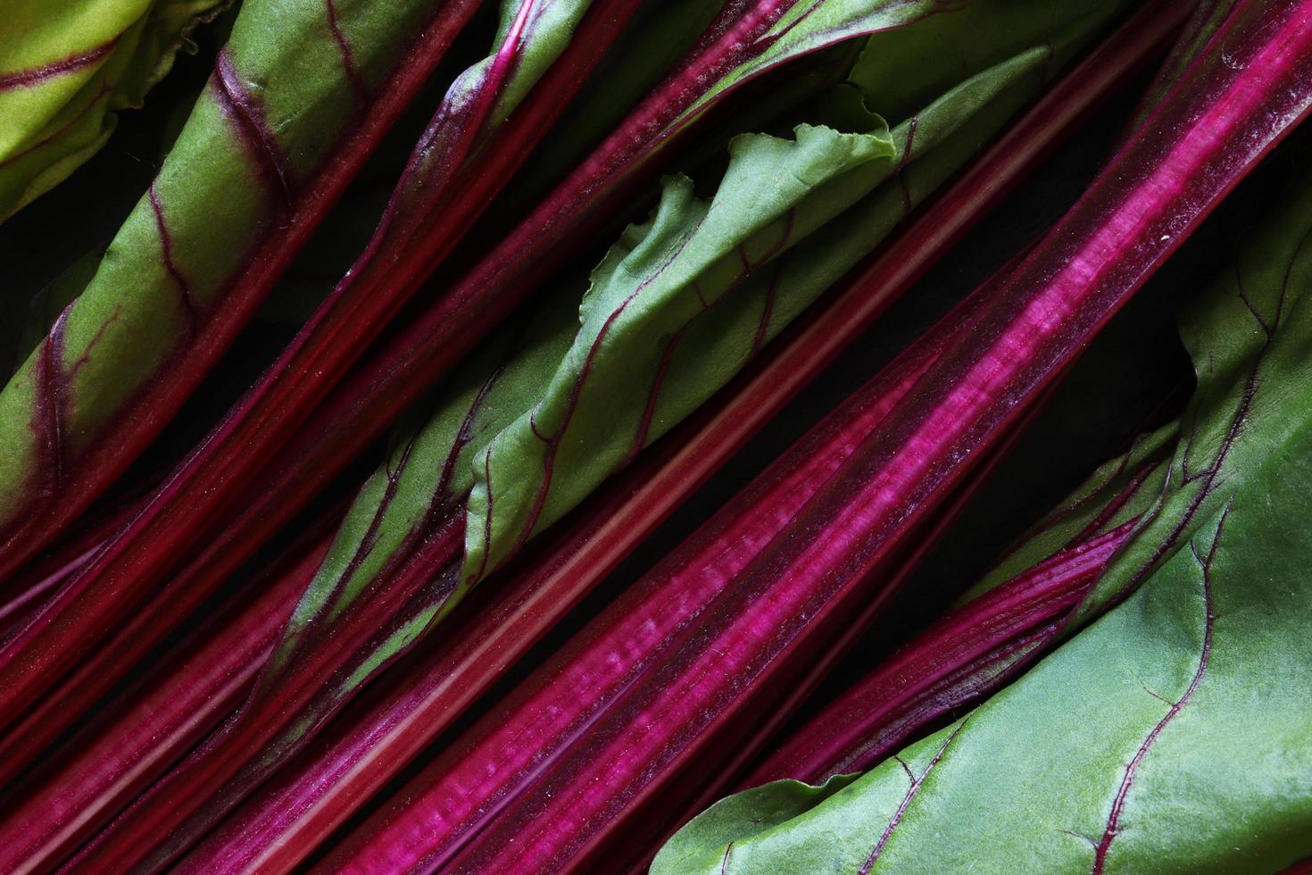 Beetroot stem and leaves photo