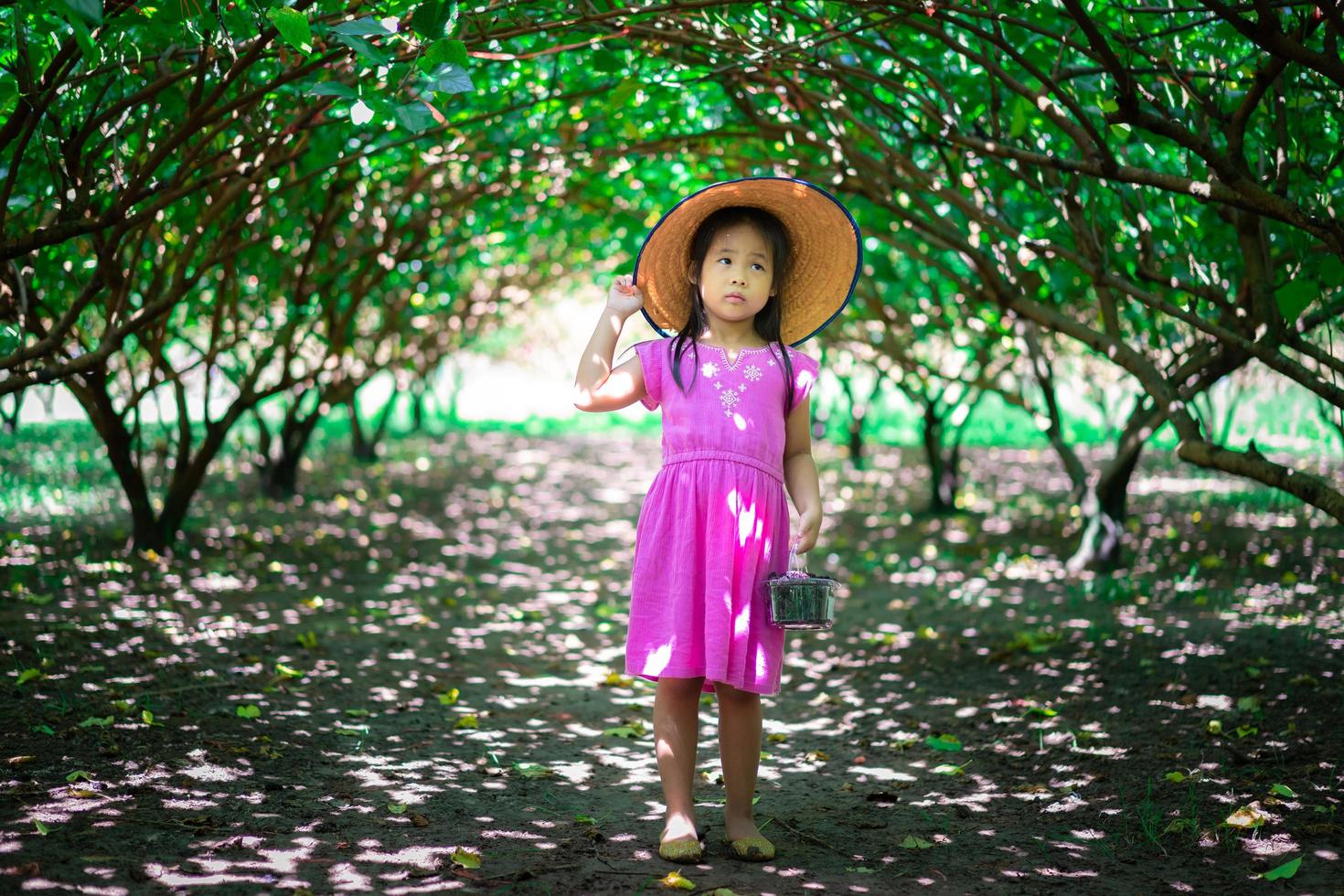 niña asiática mirando la fruta de la morera foto