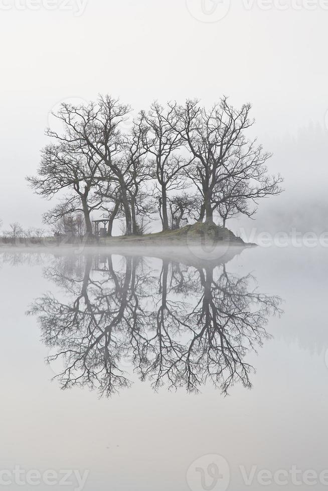 Morning Mist Reflection Stock Photo