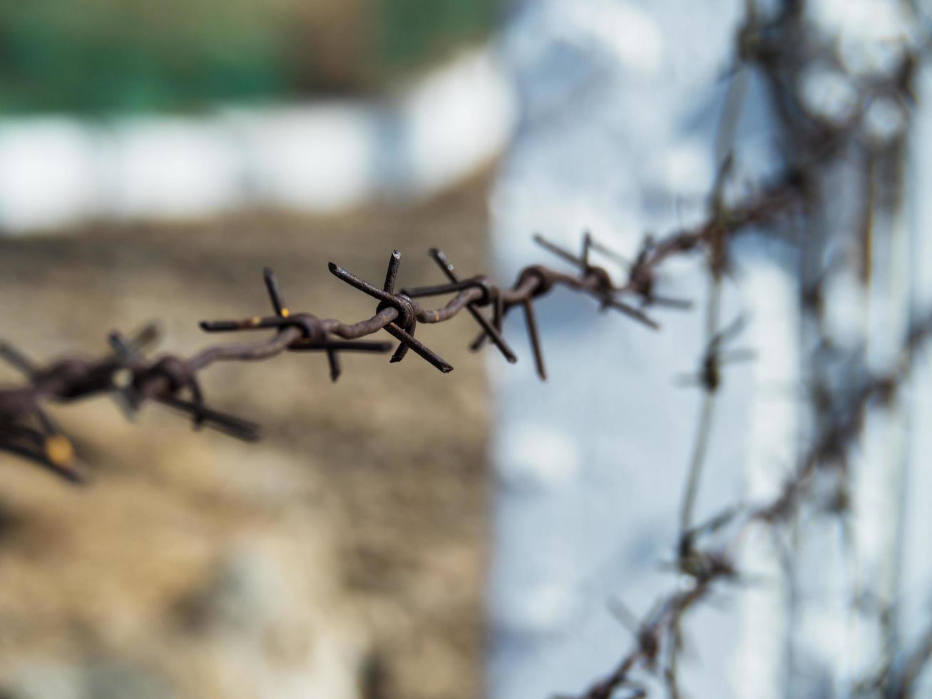 Close-up of a barbed-wire fence photo
