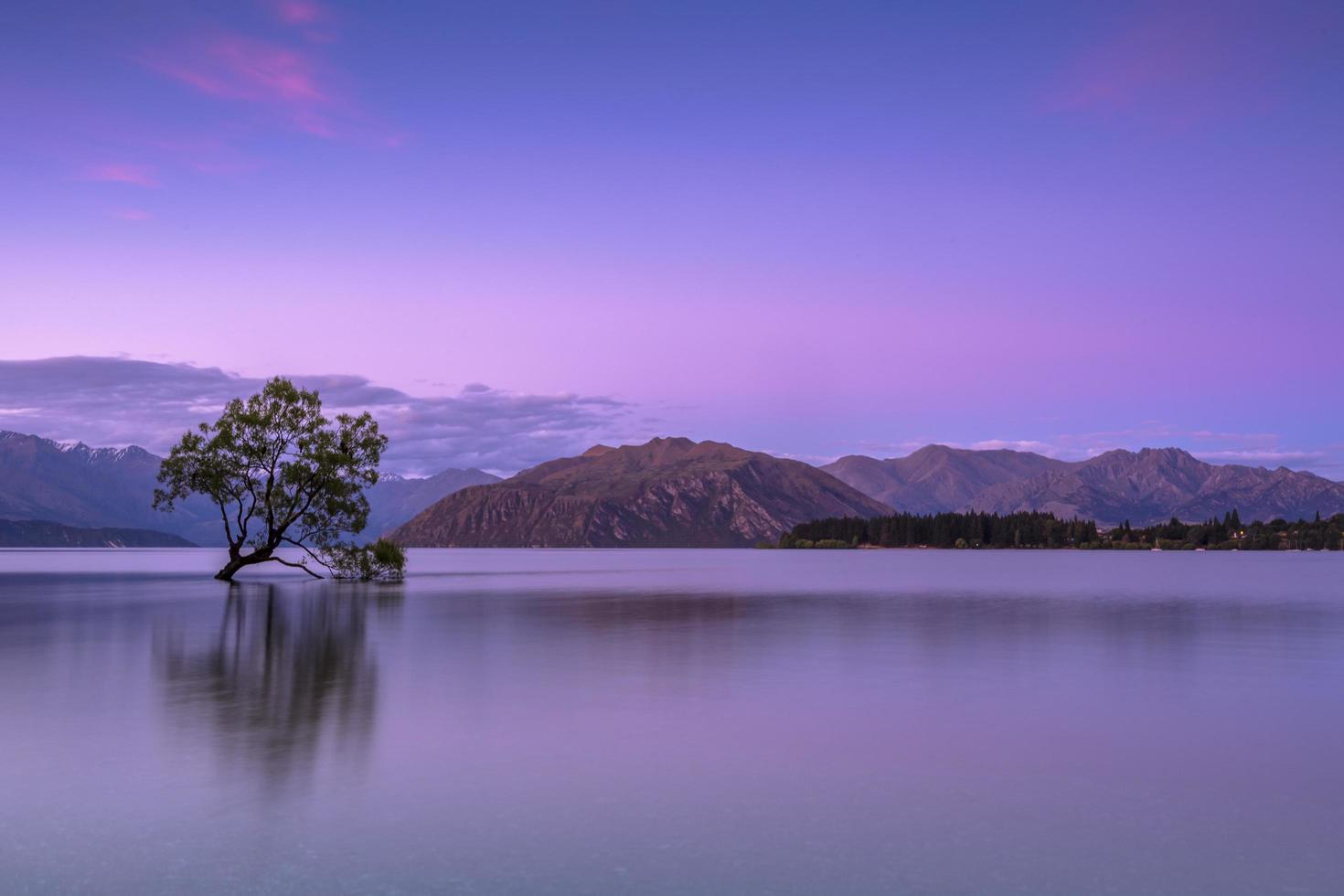 Tree in body of water near mountains photo