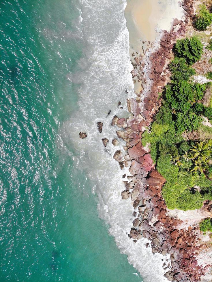 Aerial view of green trees on a beach photo