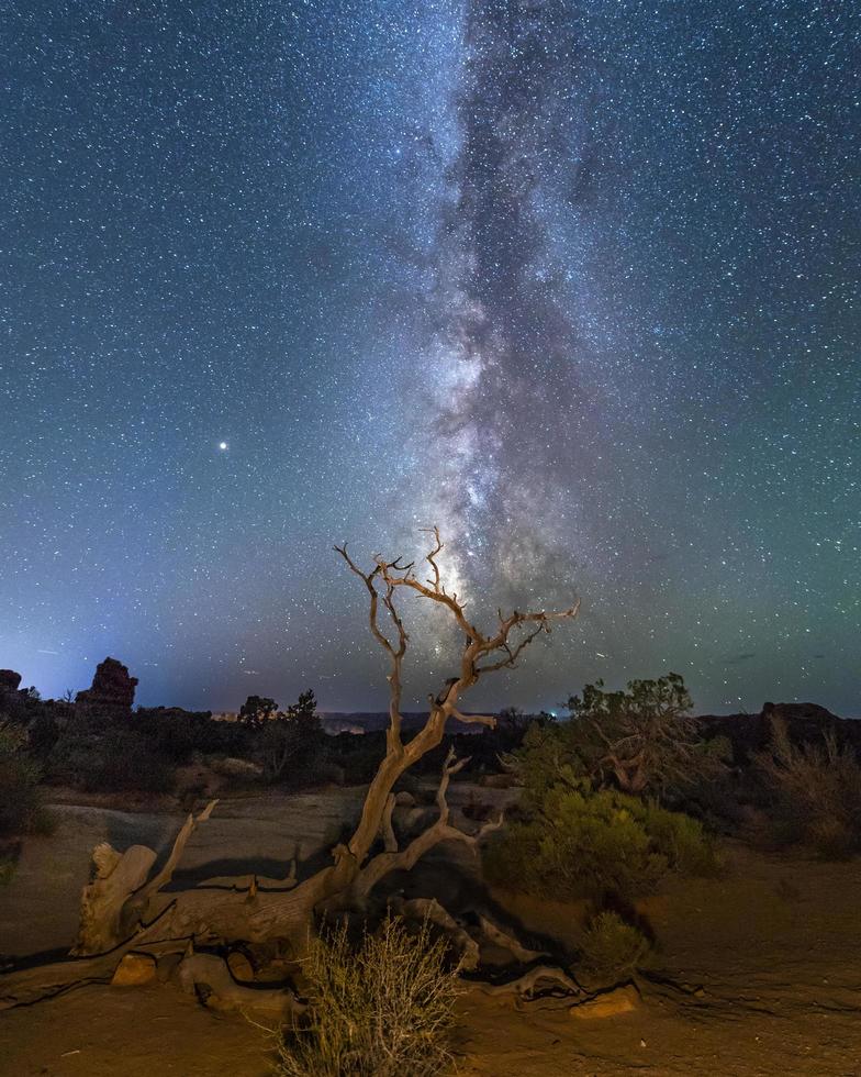 Desert landscape under blue sky during night time photo