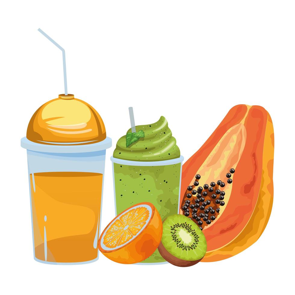 Tropical fruit and smoothie drink vector
