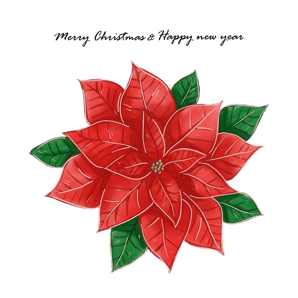 Merry Christmas and happy new year watercolor poinsettia flower vector