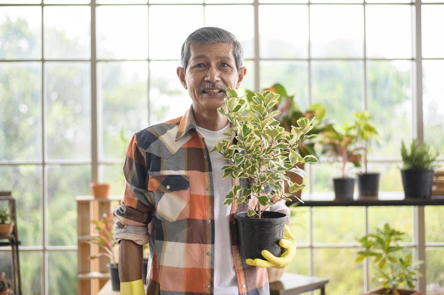 Retrato de un hombre asiático senior sosteniendo una planta foto