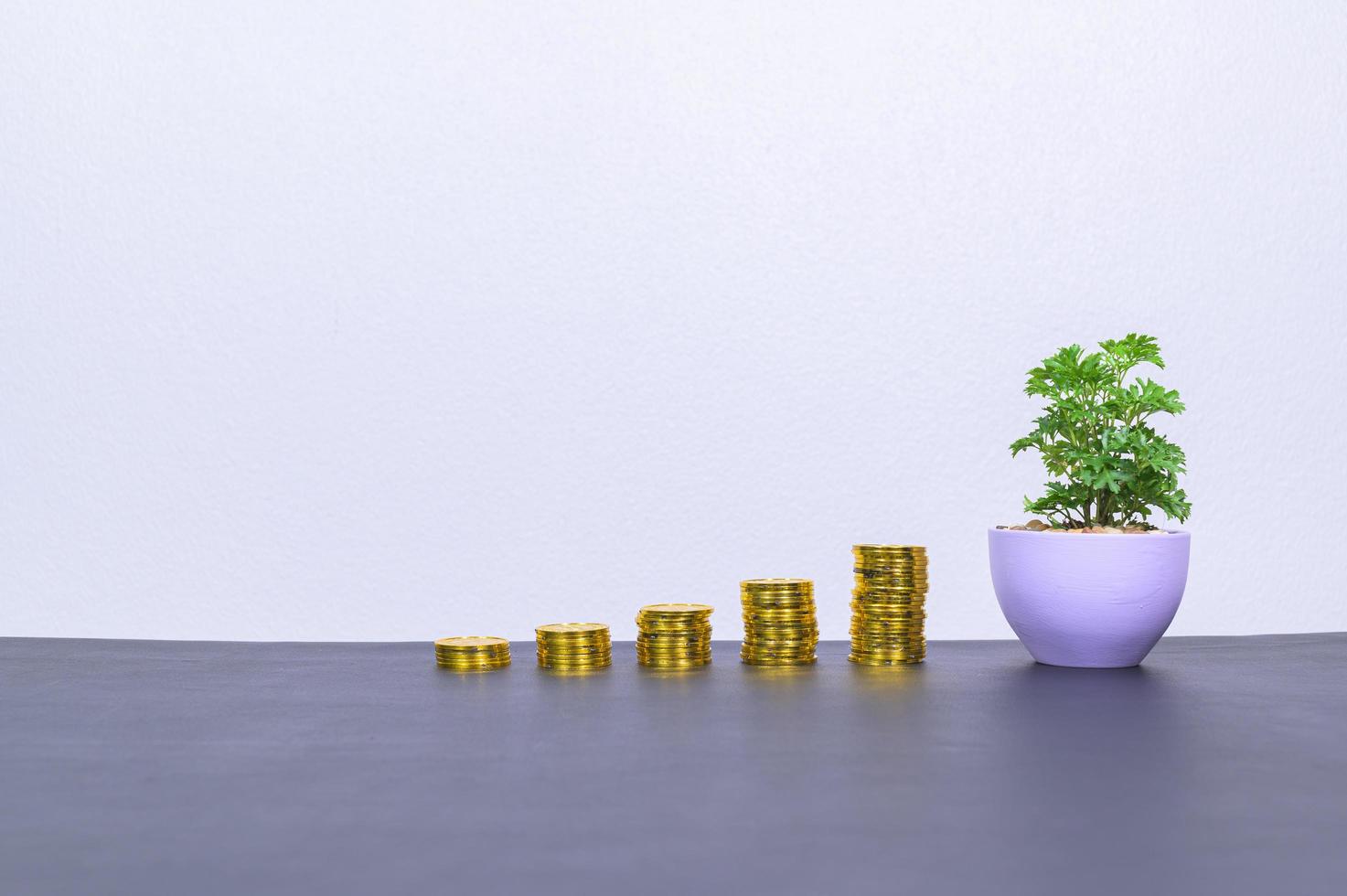 monedas y una planta en el escritorio. foto