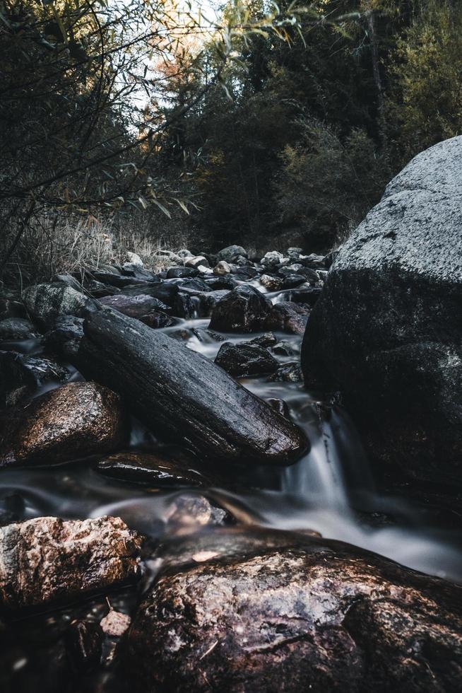 arroyo con madera y piedras foto