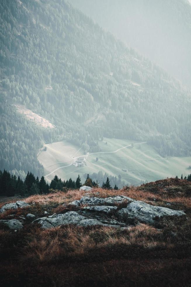Mountain covered in green trees photo