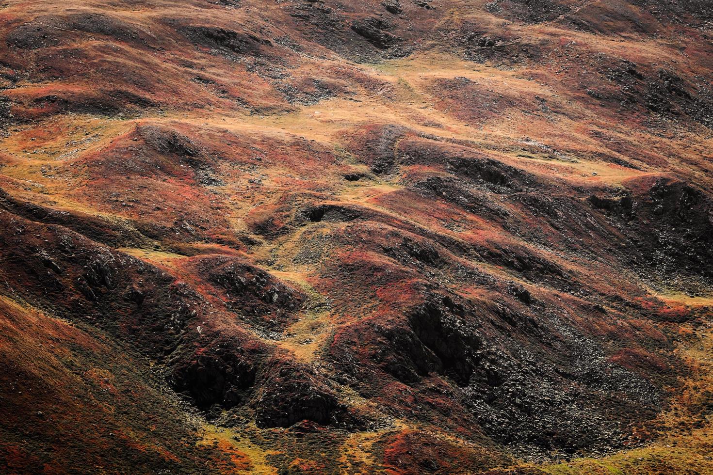 Red and brown land photo