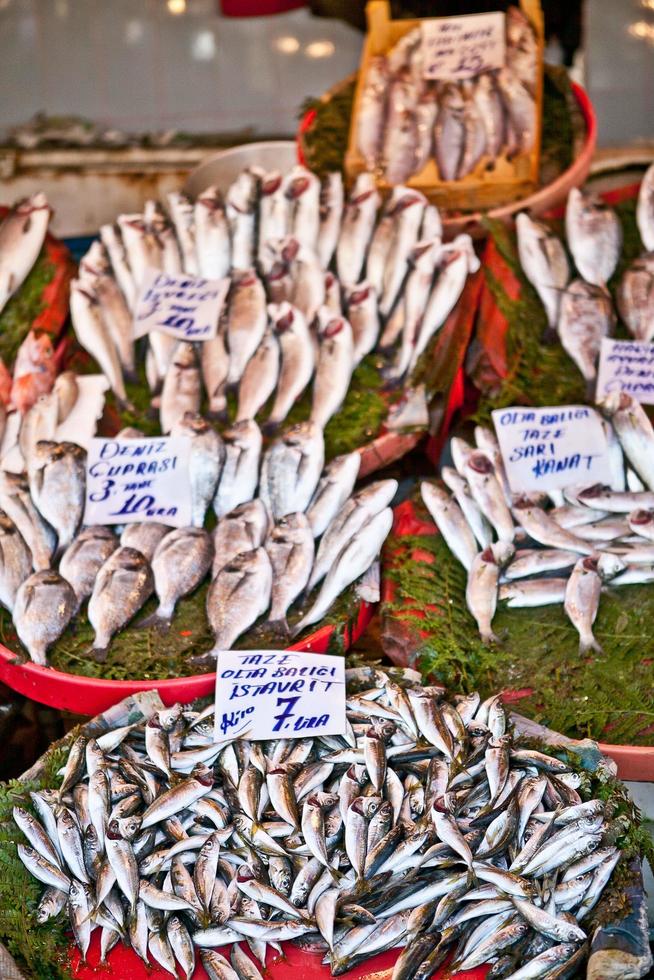 pescadería en estambul foto