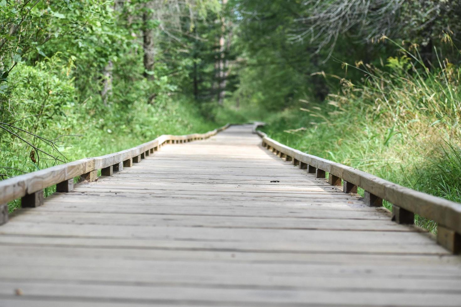 Brown wooden path in a park photo