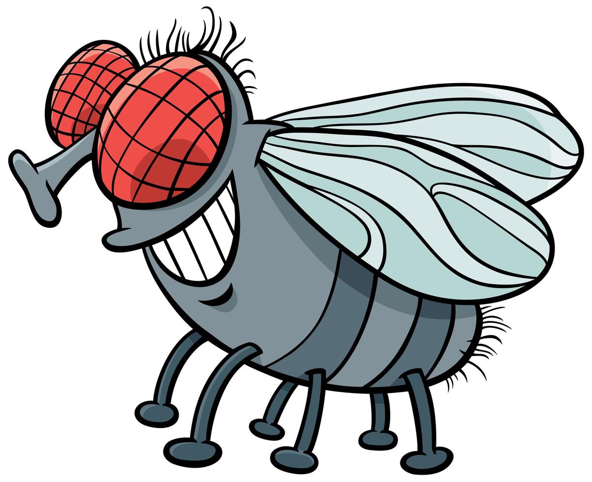 Fly insect character cartoon vector