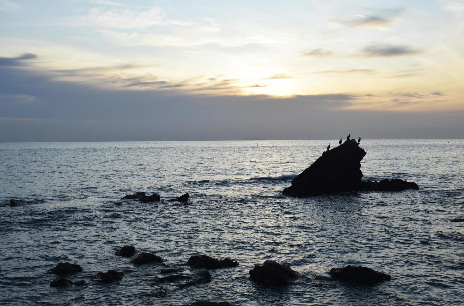 Silhouette of birds on rock formation in the sea photo