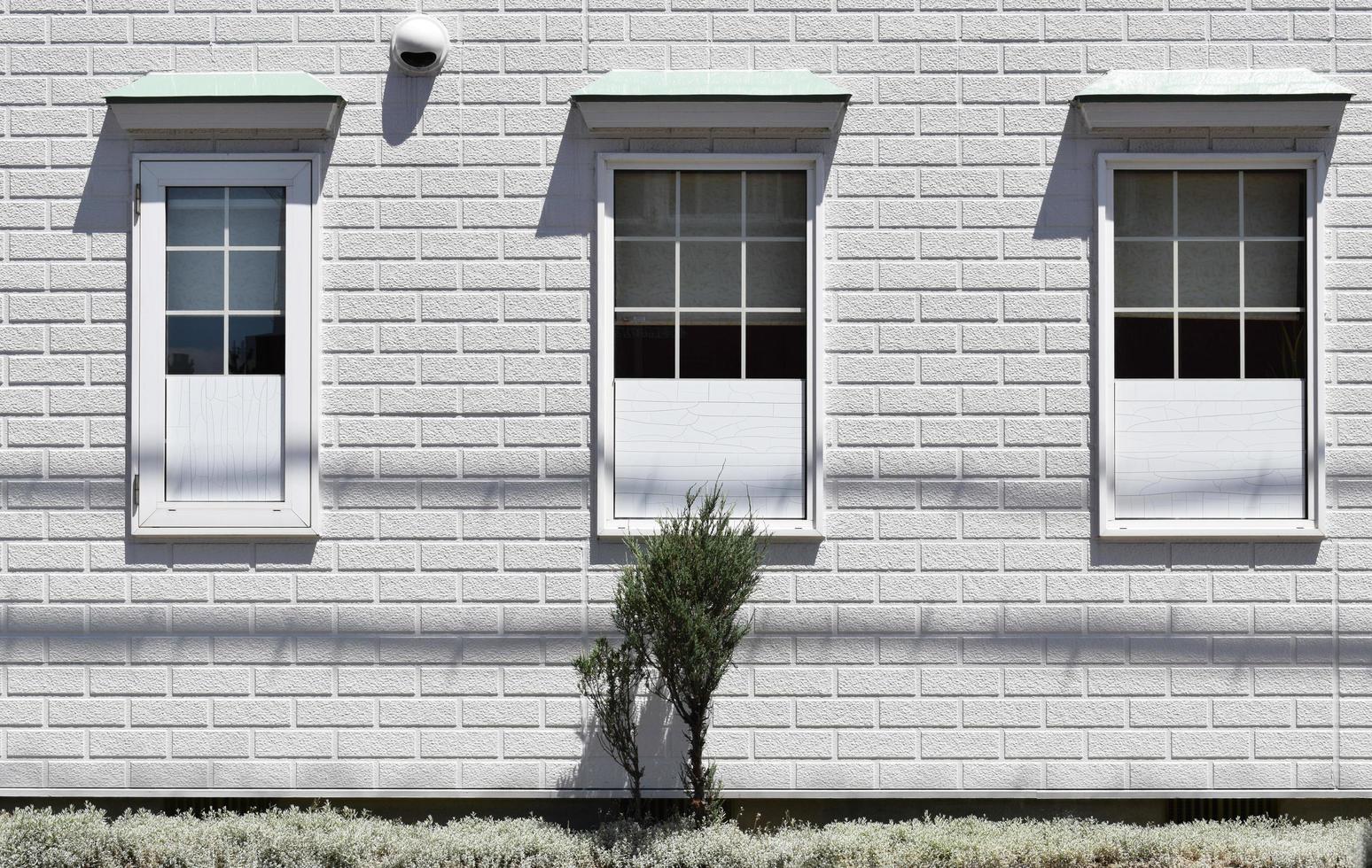 planta verde al lado de la casa pintada de blanco foto