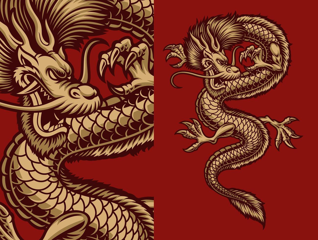 Asian dragon in gold on red vector