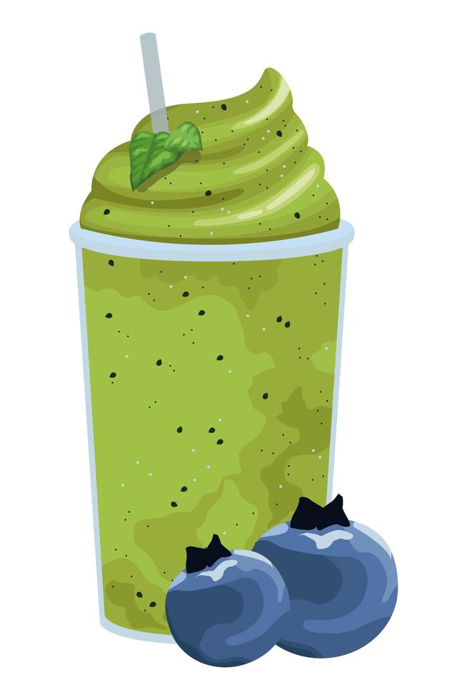 Tropical green fruit and smoothie drink vector