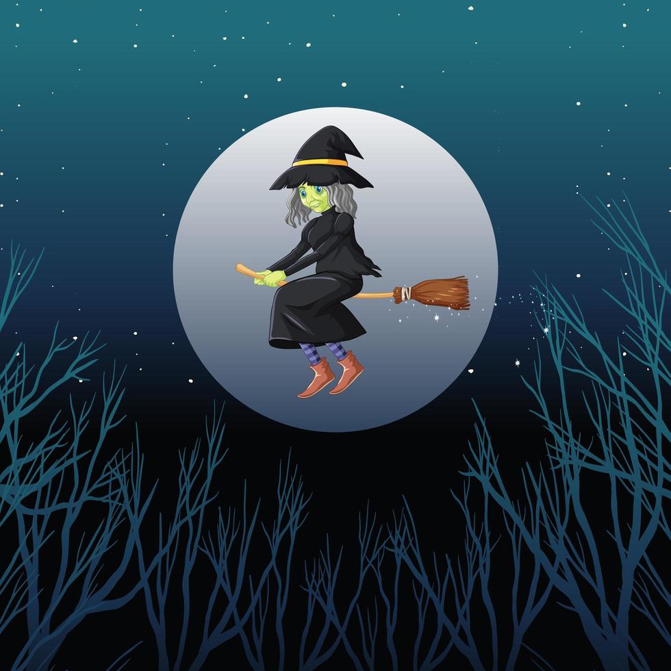 Witch or wizard riding broomstick vector