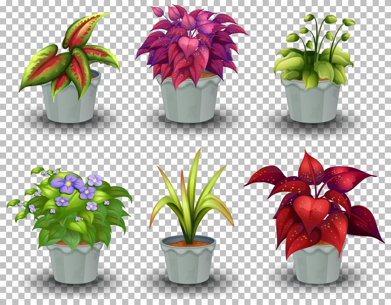 conjunto de plantas en macetas vector