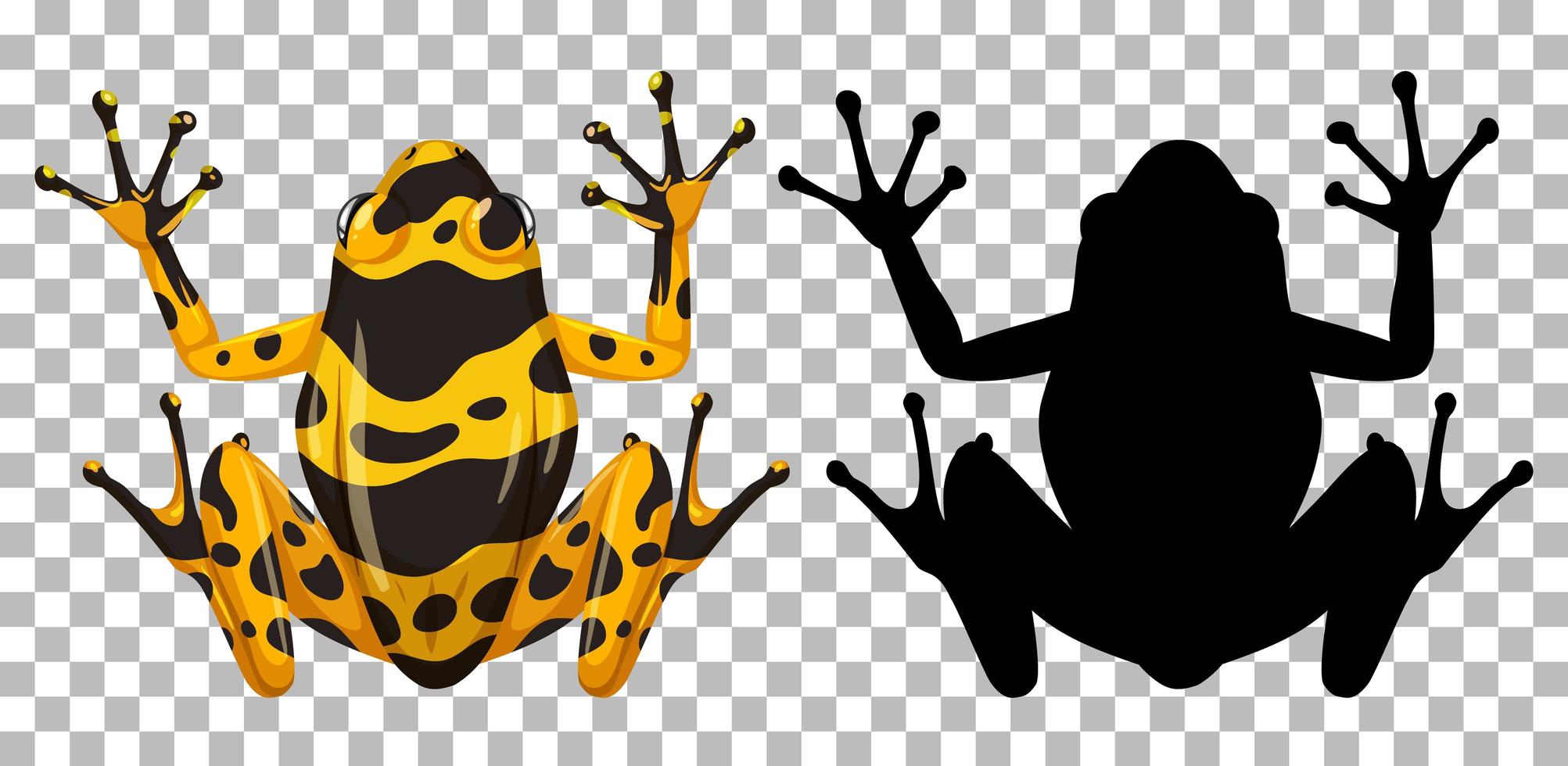 Yellow banded frog with its silhouette vector