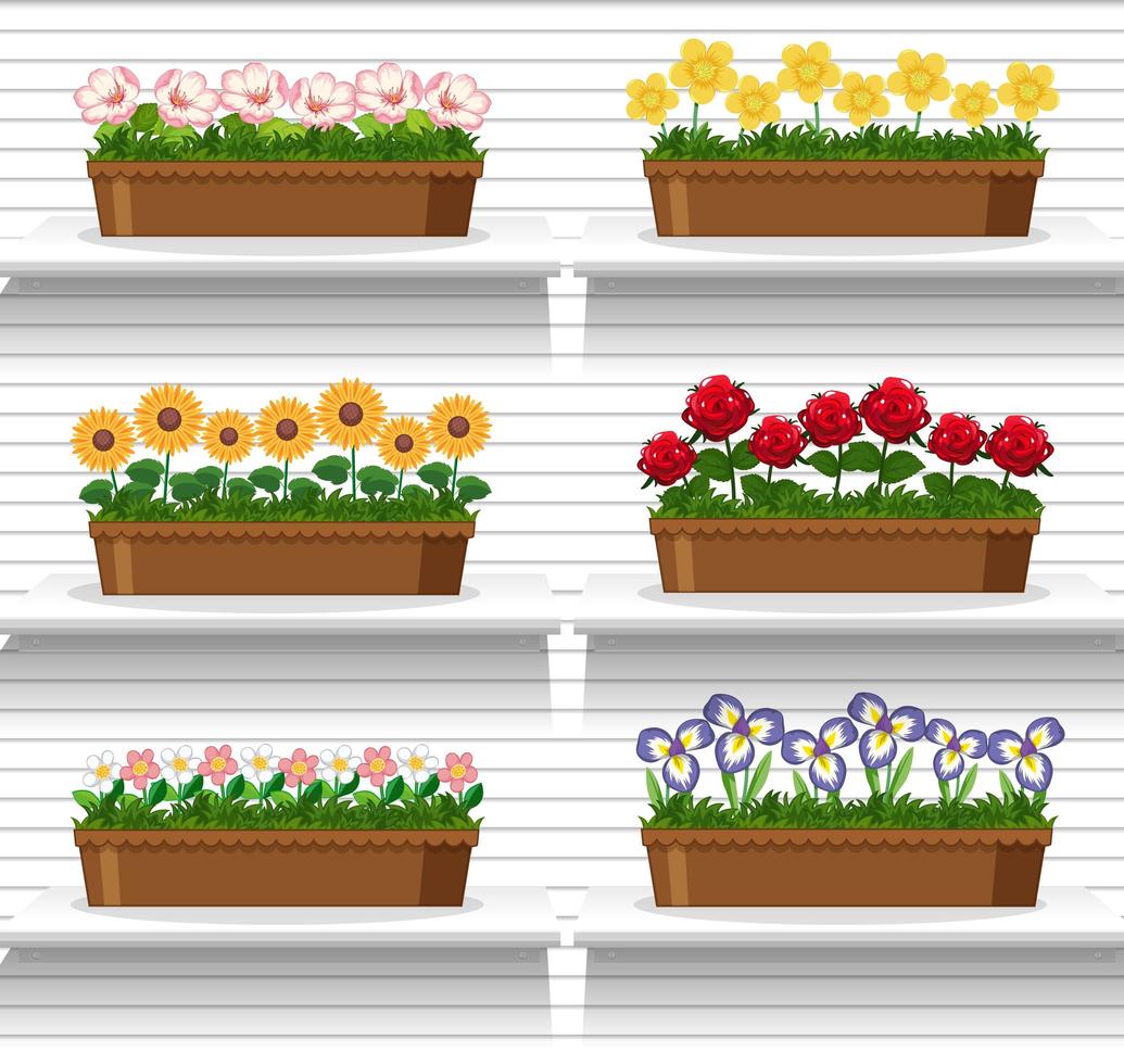 Set of plants on shelves vector