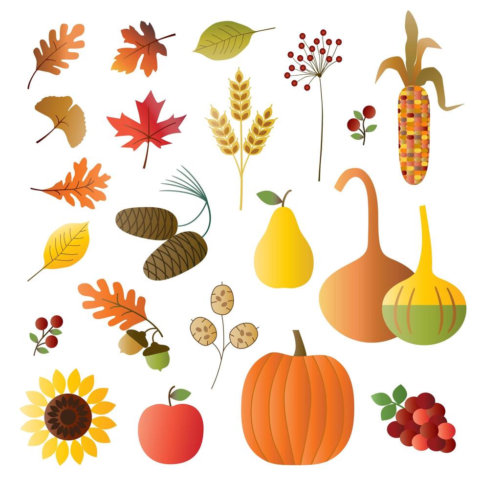 conjunto de frutas, verduras y follaje de otoño vector