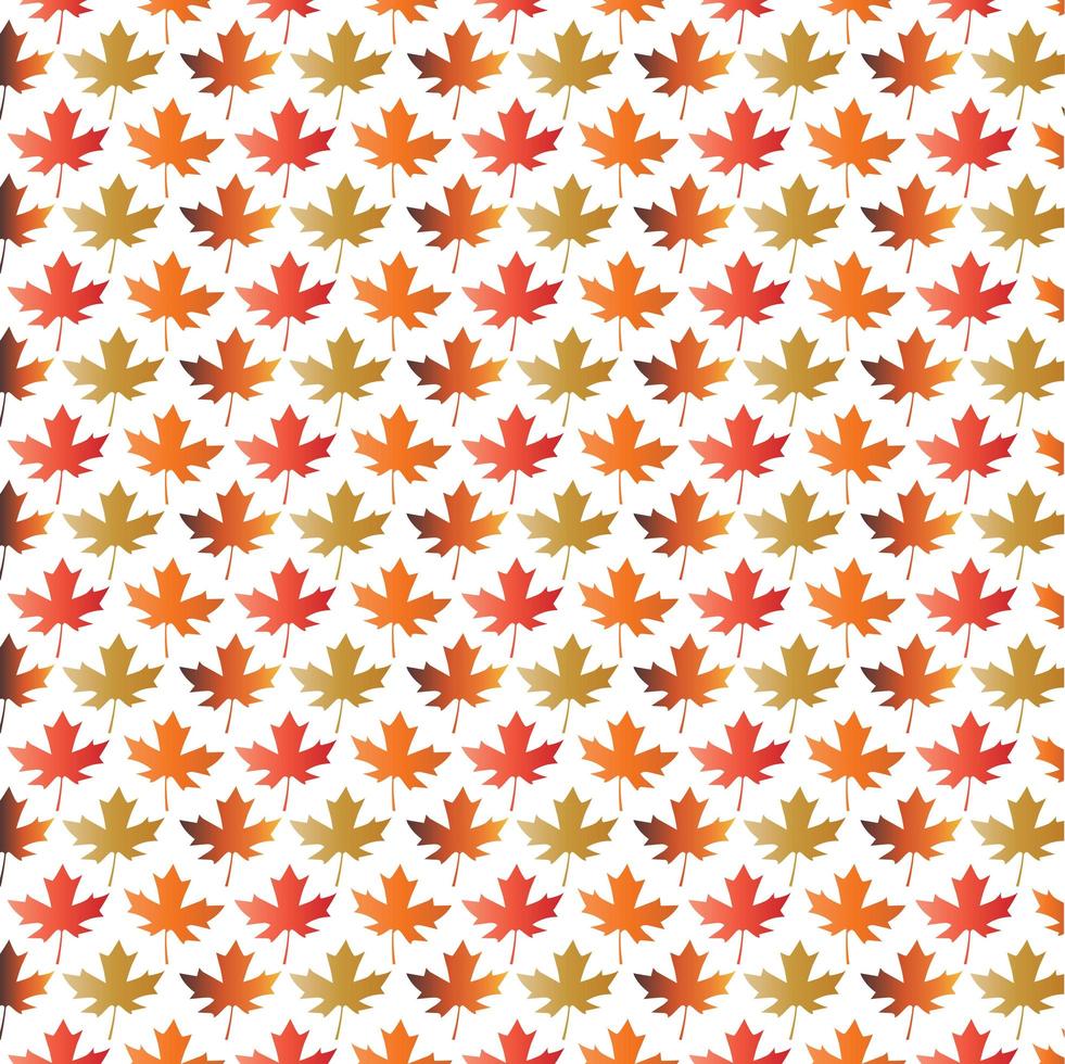 Gradient maple leaf pattern vector