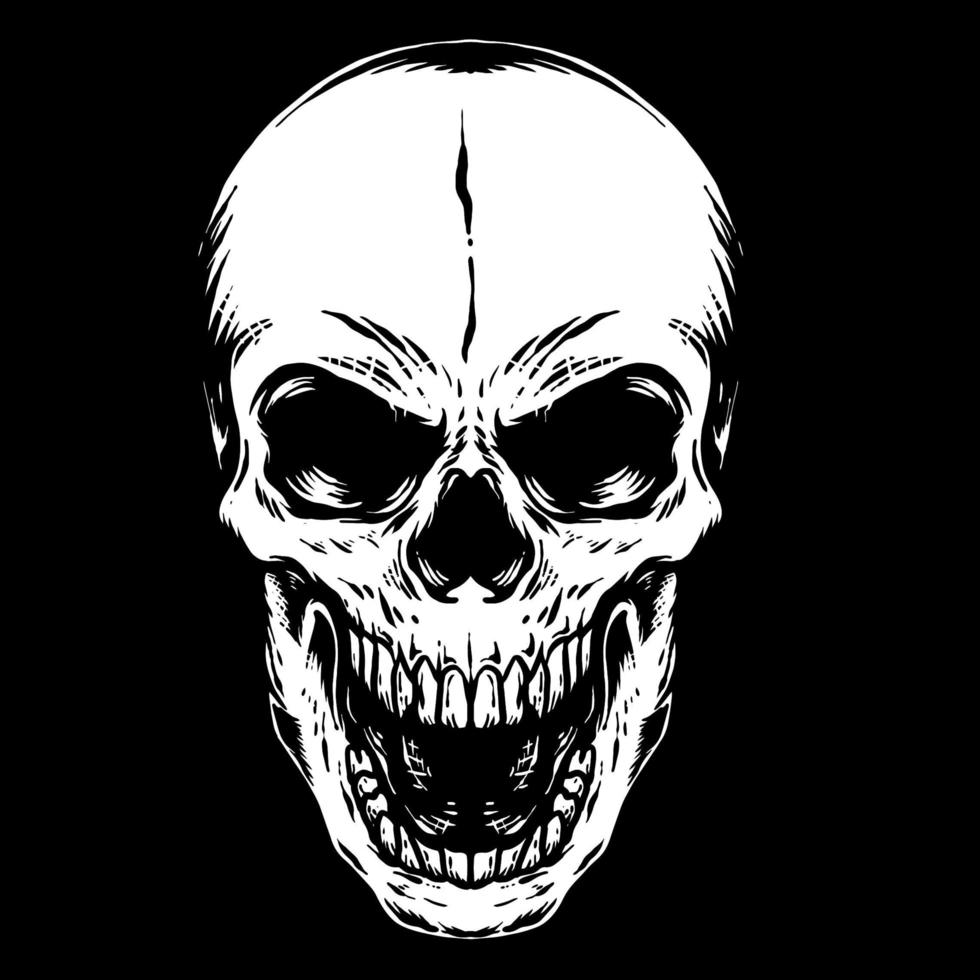 Hand drawn human skull on black vector