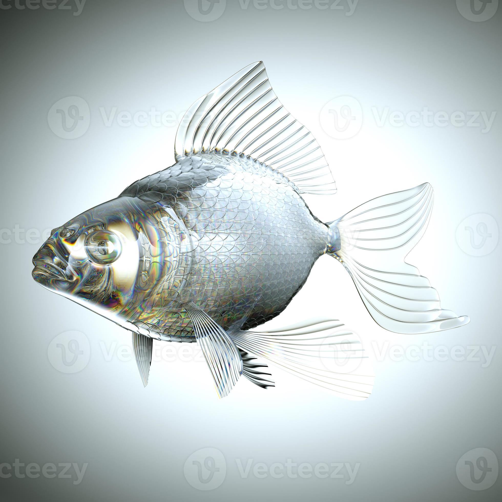 Glassy fish with scales and fins 1419606 Stock Photo at Vecteezy