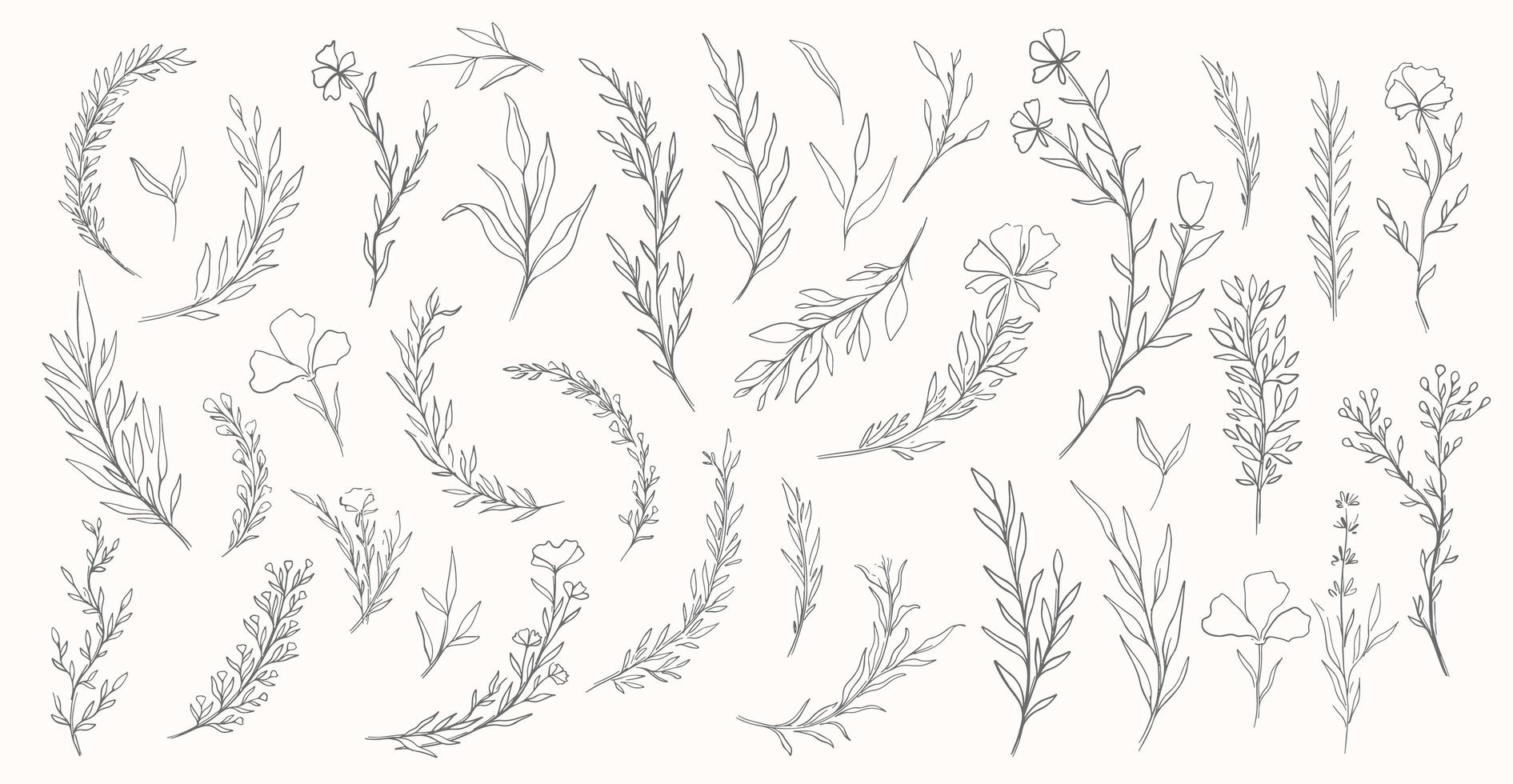 Plant nature hand drawn set vector