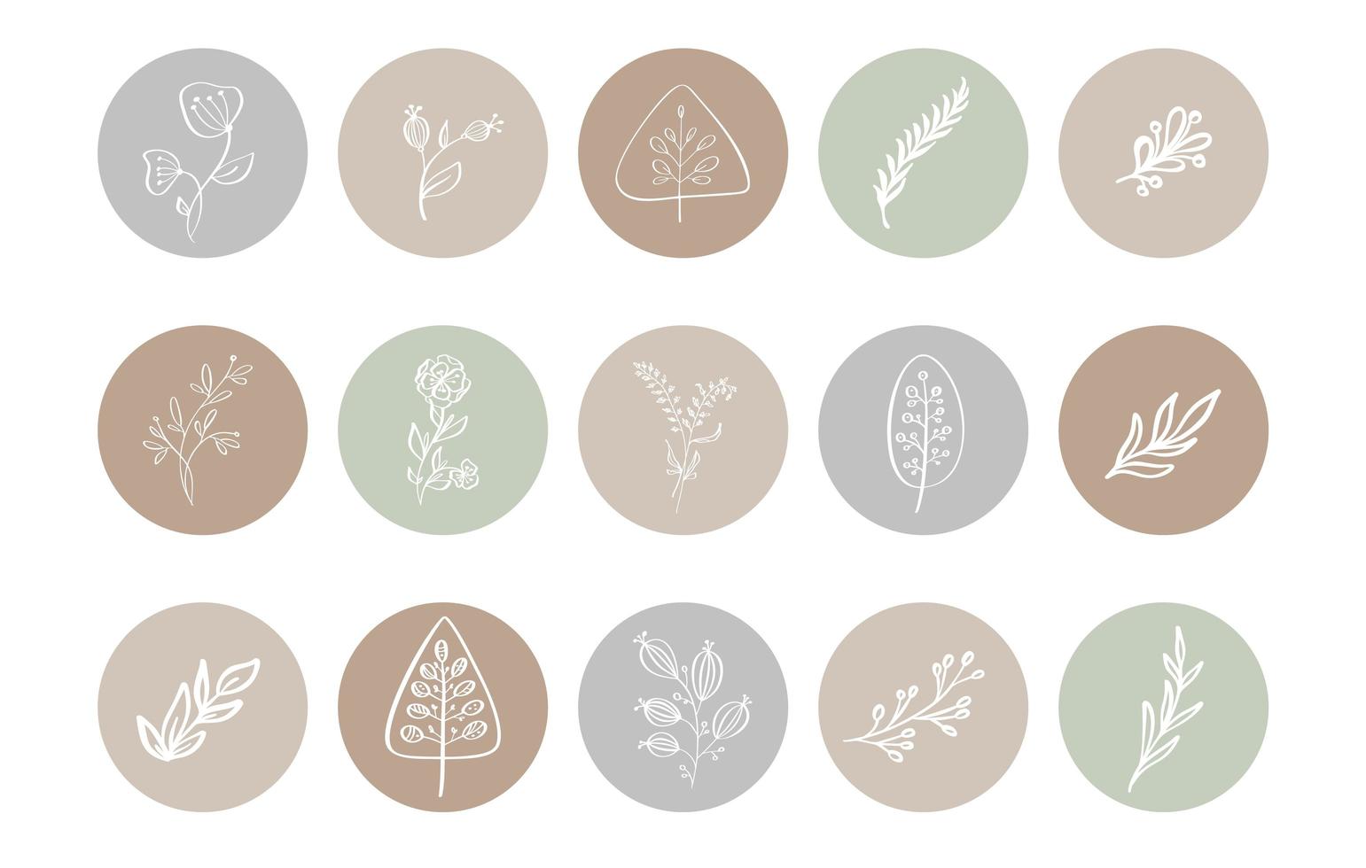 Pastel highlight botanical herb icon collection vector