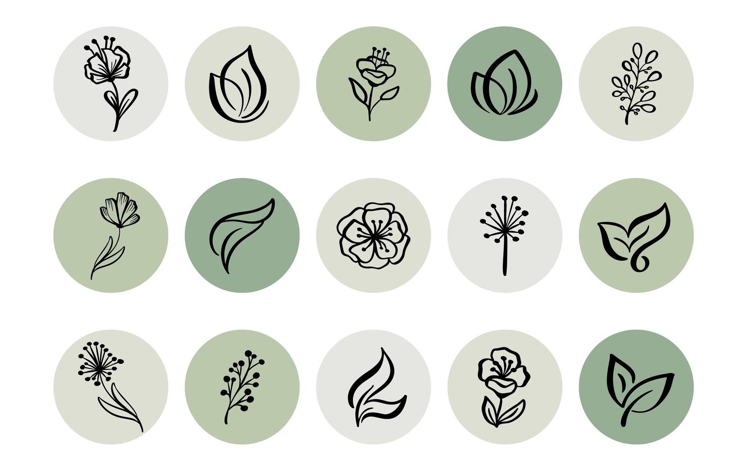 Green highlight botanical herb icon collection vector