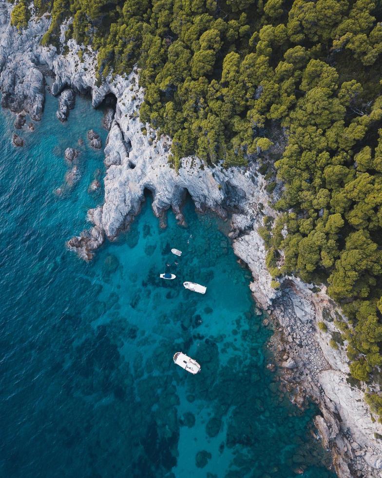 Aerial view of boats and people swimming photo