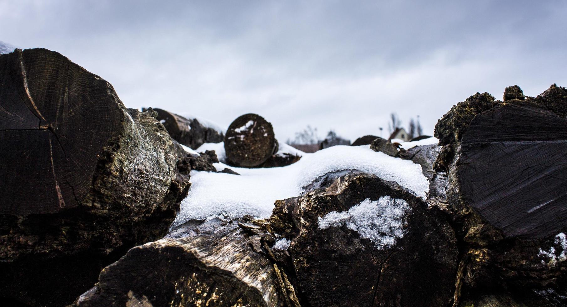 Chopped firewood covered in snow photo