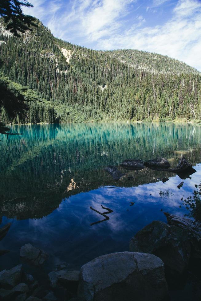 Pine trees surrounding body of water photo